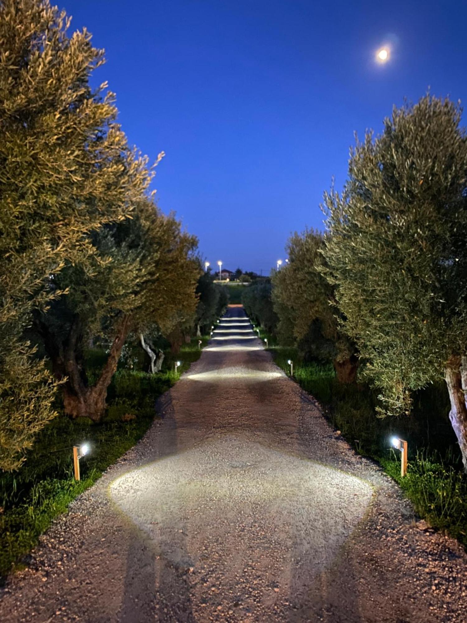 Villa Olymp Неа-Потидеа Экстерьер фото