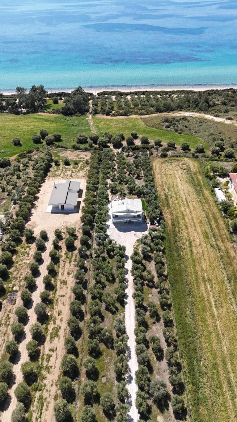 Villa Olymp Неа-Потидеа Экстерьер фото